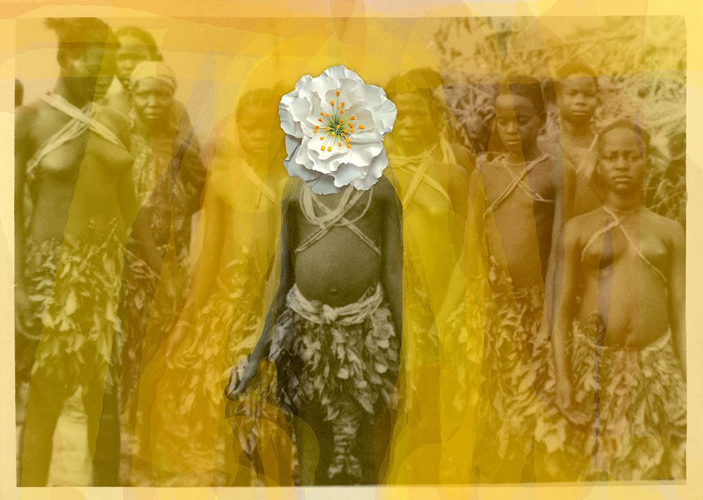 Owanto, Flowers VI, Photograph, 2019.
UV print on aluminium with cold porcelain flower,
125,0 x 176,0 x 17,0 cm. Courtesy the artist.