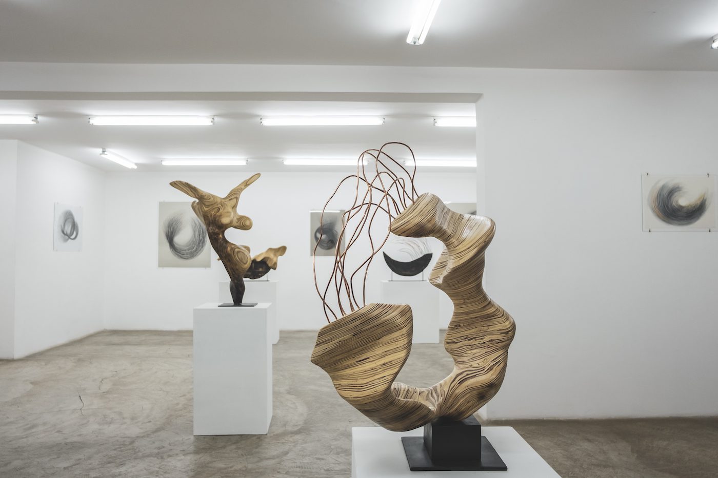 Installation view of Liberty by Adiskidan Ambaye at Addis Fine Art gallery, Addis Ababa, 2020. Photo by Eyerusalem Jiregna.