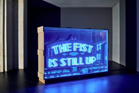 Wu Tsang, Safe Space, 2014. Installation view at  Lafayette Anticipations, Paris. 