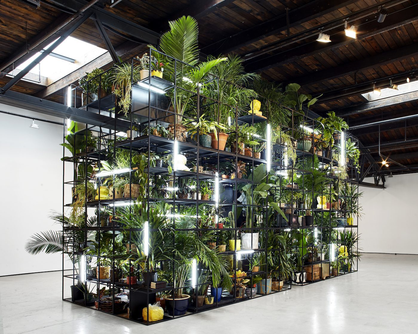 Rashid Johnson, Antoine’s Organ, 2016. Black steel, grow lights, plants, wood, shea butter, books, monitors, rugs, piano, 189 x 338 x 126 3/4 in (480 x 858.5 x 322 cm). © Rashid Johnson. Courtesy the artist and Hauser & Wirth