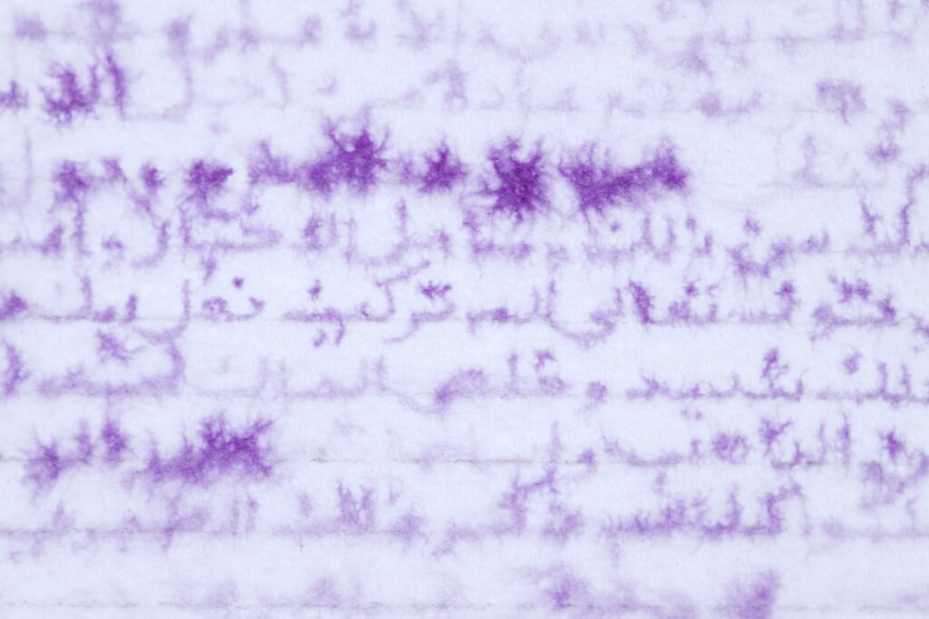 Nicène Kossentini, History Lessons 2 (détail), 2020, encre sur papier, eau, 51 x 36 cm 
© Galerie Sabrina Amrani
