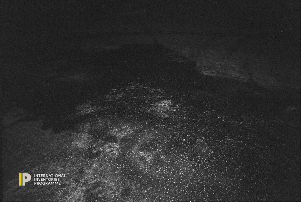 Invisible Inventories: Questioning Kenyan Collections in Western Museums