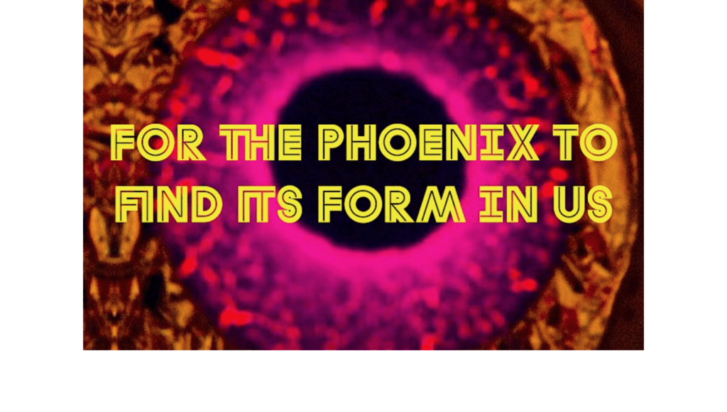 Courtesy Savvy Contemporary