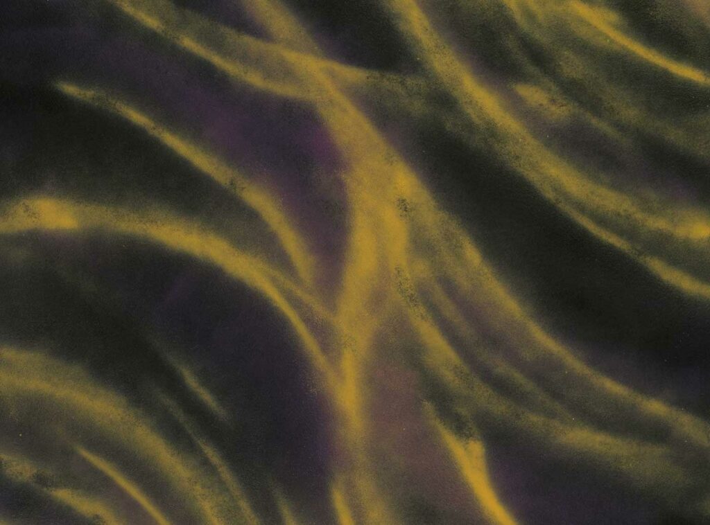 Tim Whiten, Untitled, Diptych 1 (Detail), 2012. 