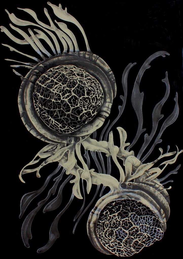 © Odunayo Orimolade