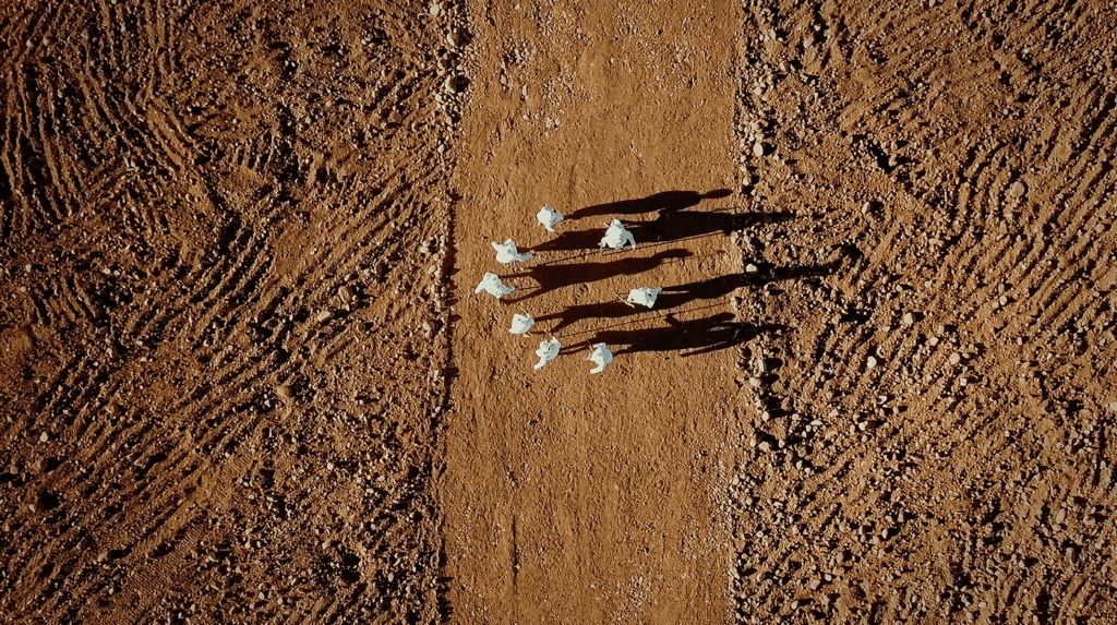 Buhlebezwe Siwani, AMAHUBO, 2018, 3-CHANNEL DIGITAL 4K PROJECTION VIDEO INSTALLATION, SOUND, 13 MIN, 1 SEC, COURTESY THE ARTIST
