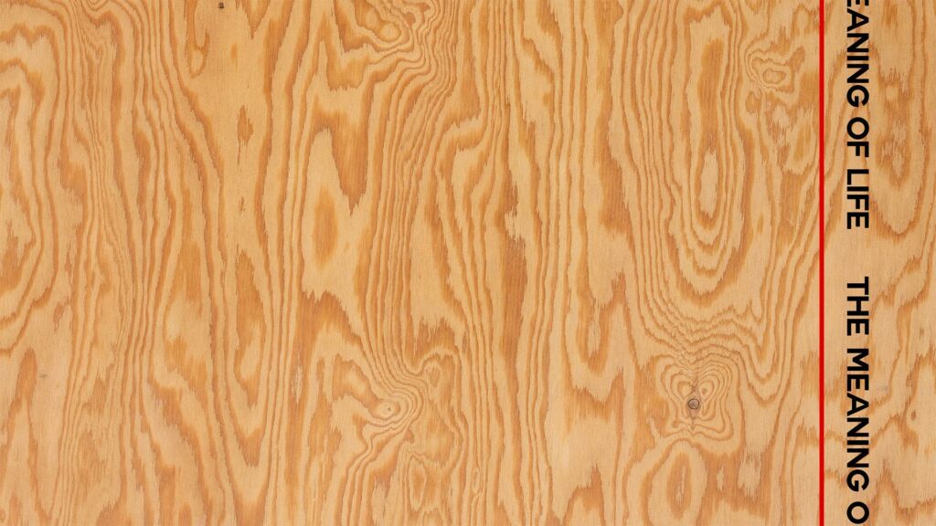 Hannah Black, The Meaning of Life poster design by Mark Bennet, 2022
