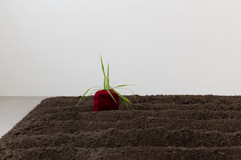 Photo by Andrea Rossetti.