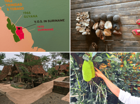 Clockwise: By Gloria Kiconco, Yina Jiménez Suriel, Serine Ahefa Mekoun and Russel Hlongwane 