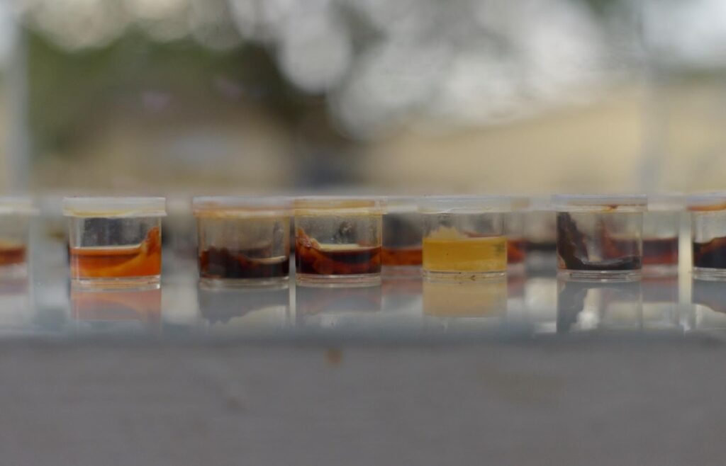 Piloya Irene, Memories in Store, Series I, 2022. Courtesy of the artist.