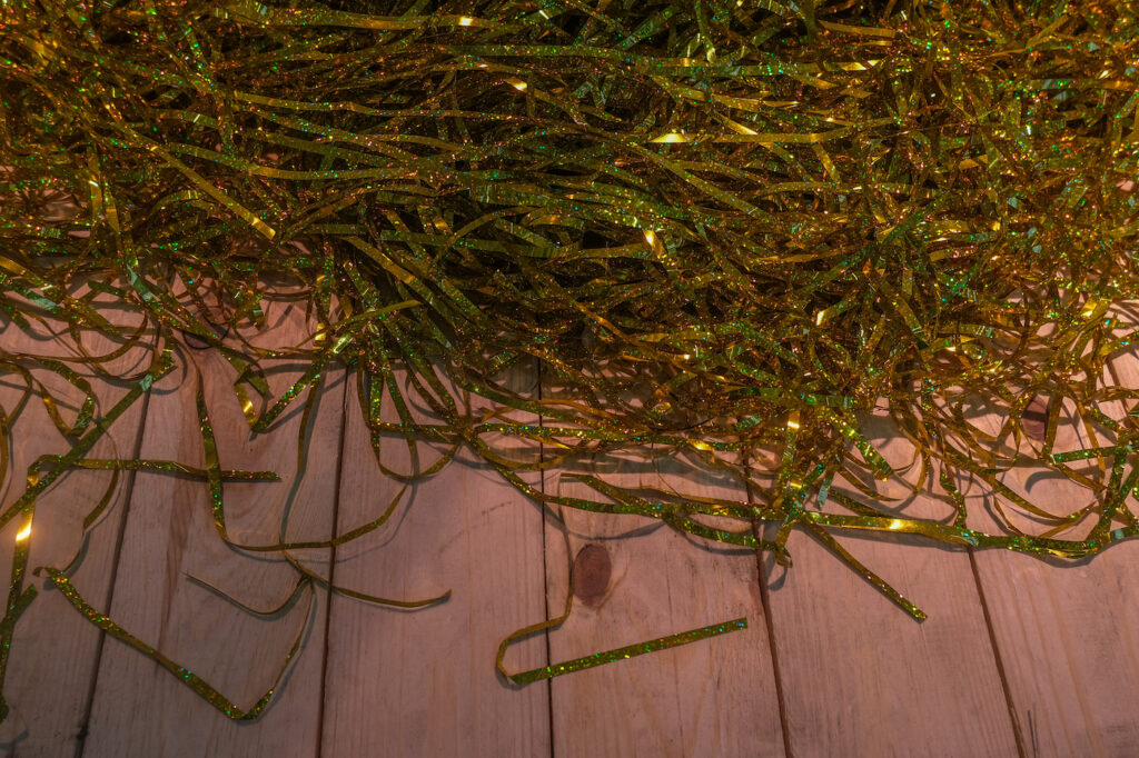 Brandon Gercara. Photo: Sef Younes