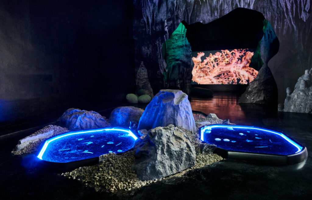 Josèfa Ntjam, When the moon dreamed of the ocean (2022). Installation view at FACT Liverpool. Photo by Rob Battersby