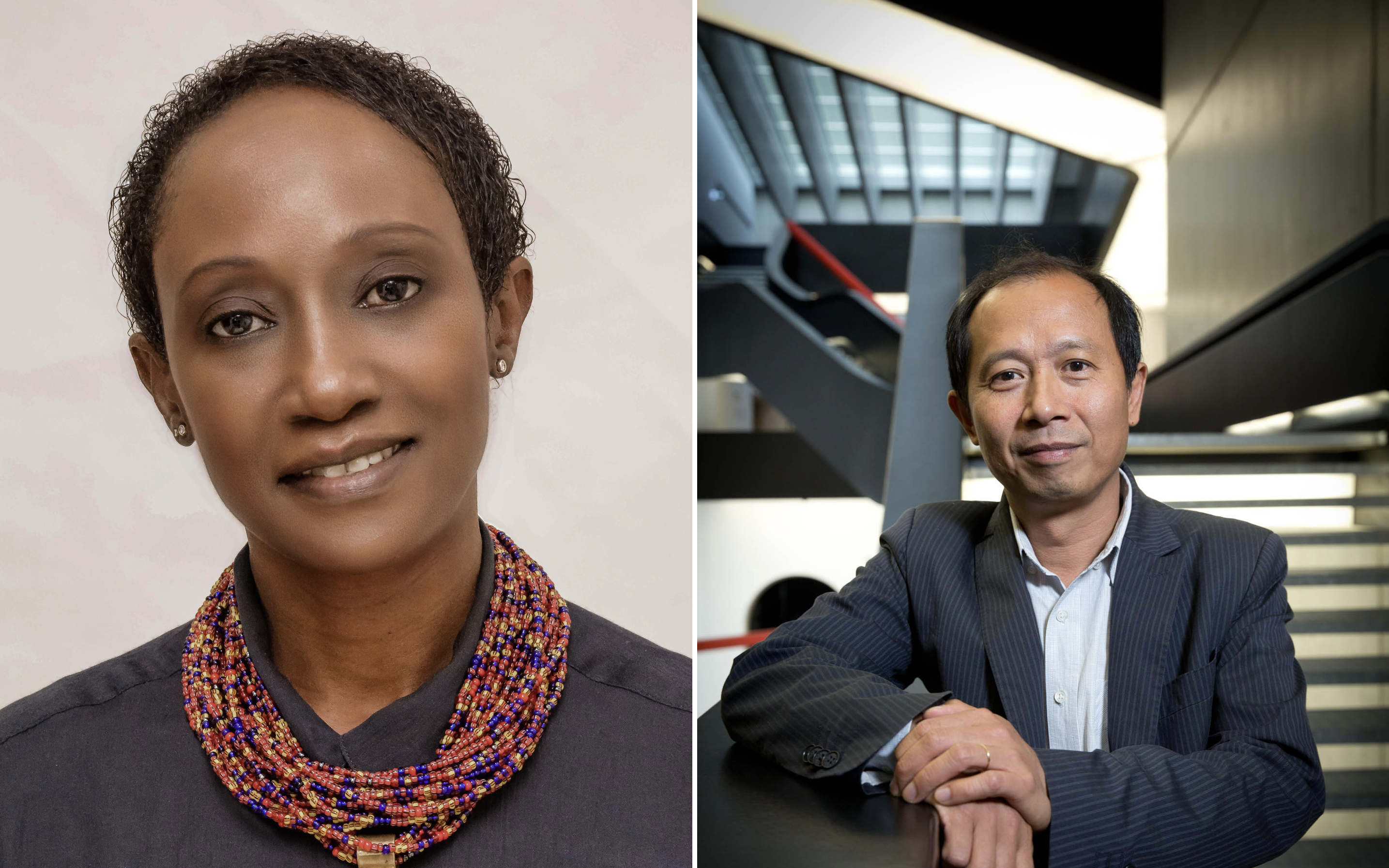 (left) N'Goné Fall; (right) Hou Hanru