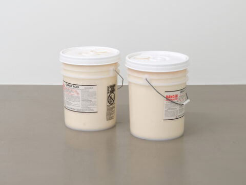 Cameron Rowland, macandal, 2023
Oxalic acid
37.5 x 30.5 x 67 cm

Packets of materials that could invoke spirits, protect against punishment, and poison slave masters were called macandals. They were at the center of a plot in 1757 to poison all the white people in Haiti. The plot was organized by hundreds of enslaved and free black people. All macandals were subsequently outlawed. Their trade and use continued despite their criminalization.

Enslaved people throughout the Atlantic world used arsenic, manioc juice, ground glass, and oxalic acid to poison overseers, masters, masters’ children, and livestock. Oxalic acid is a stain remover and household cleaner. 
