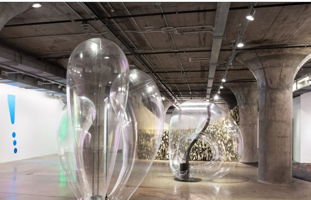 Kapwani Kiwanga, Vivarium: Apomixis 2023 (foreground), Vivarium: Adventitious 2023 (background). PVC transparent, steel colour, MDF. Installation View, Remediation, MOCA Toronto. Courtesy the artist, Galerie Poggi, Paris; Galarie Tanja Wagner, Berlin; and Goodman Gallery, Cape Town, Johannesburg, and London. © ADAGP, Paris / SOCAN, Montreal. Photo: Laura Findlay.