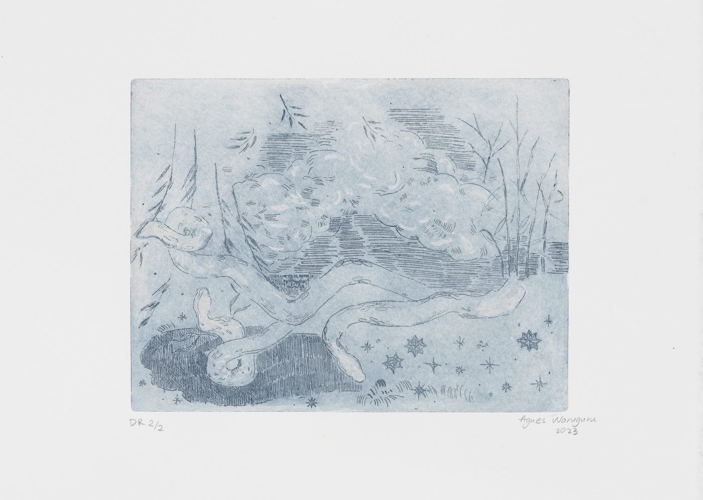 Agnes Waruguru, Messengers of a Midnight dream, 2023. Etching on Arches Rives BFK white Cotton Rag paper, 26 x 32.5 cm.