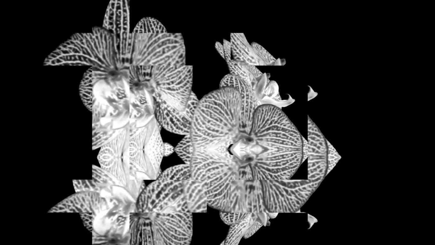 Heiko-Thandeka Ncube, The early rains which wash away the chaff before the spring rains, 2023. Video, 12 mins, film still.
