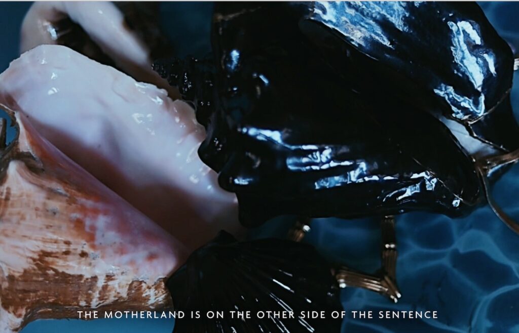 Patricia Encarnación, Endeso Still (detail), 2023.