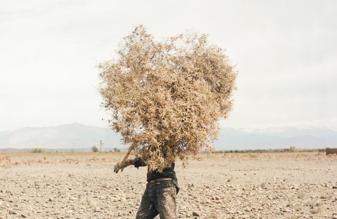 M’hammed Kilito, from the series 