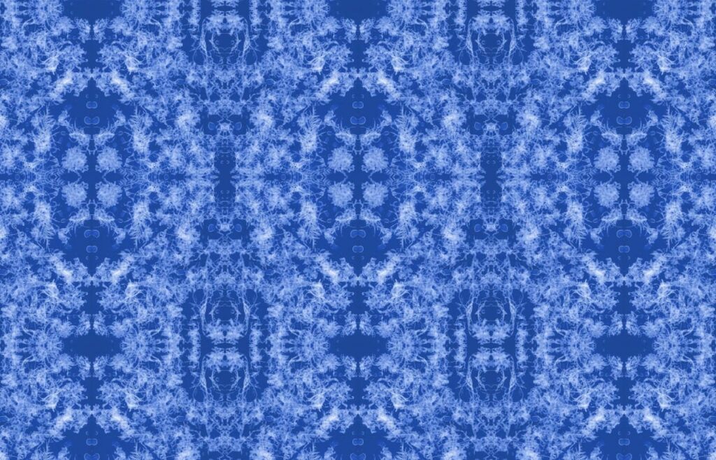 Ivan Forde, 'Oshun’s Lair', 2023 Süsswassertang seaweed wallpaper, dimensions variable | detail image